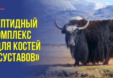 Как сохранить суставы здоровыми до глубокой старости - Пептидный комплекс «Для костей и суставов»