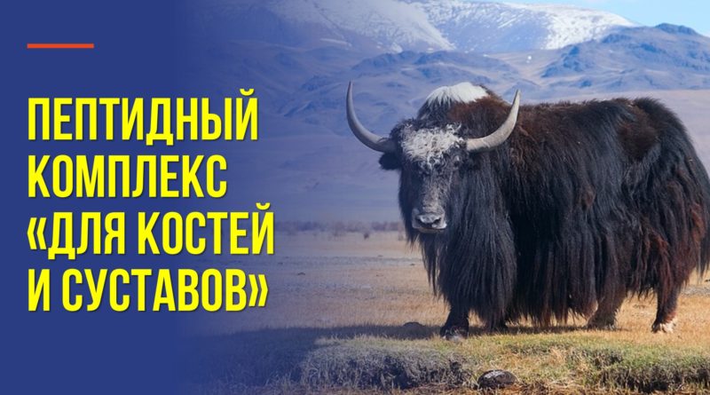 Как сохранить суставы здоровыми до глубокой старости - Пептидный комплекс «Для костей и суставов»